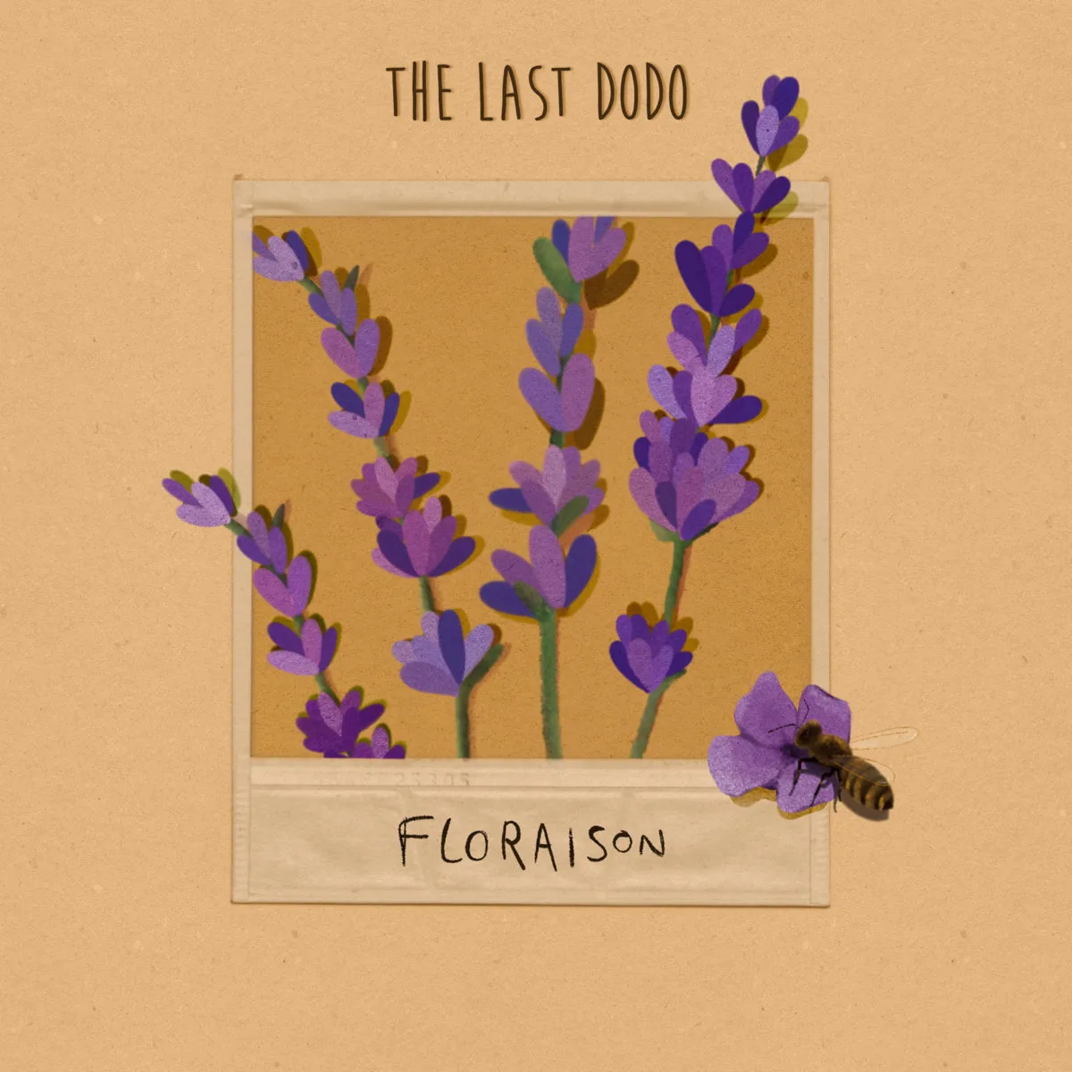 Floraison cover