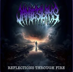 Reflections Through Fire cover