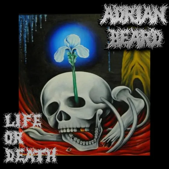 Life or Death cover