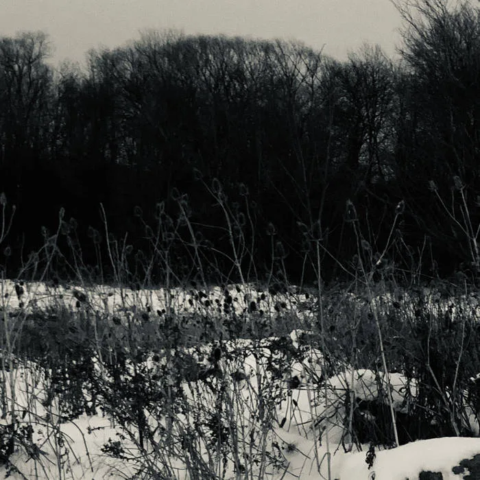 The Loss of Innocence cover