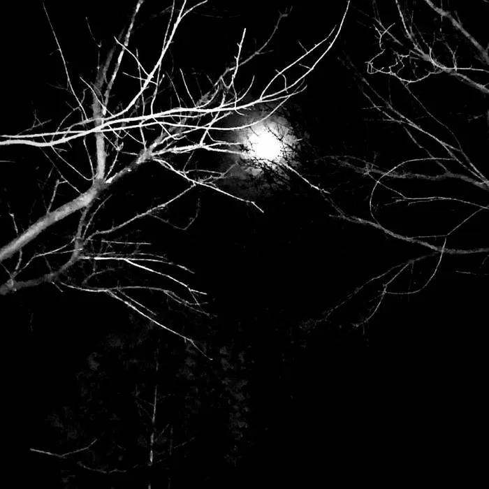 A Crude Imitation cover