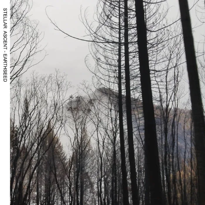 Earthseed cover
