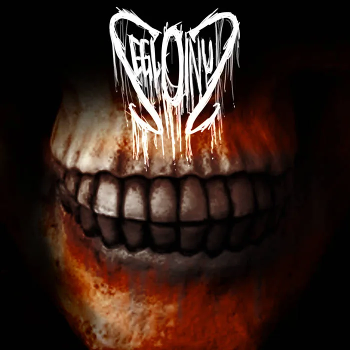 Shiny​/​/​Chrome cover