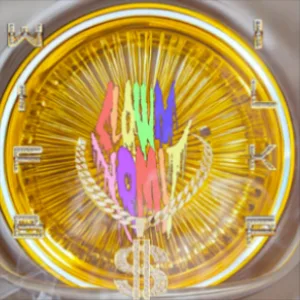 War i$ Fake but I Love Killing People cover