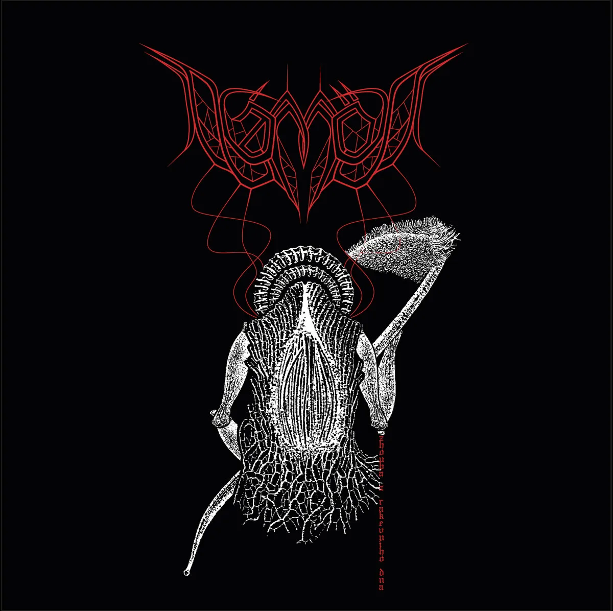 Zhouba z rakevn​í​ho dna cover