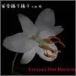 百合揺ラ揺ラ c/w 改 cover