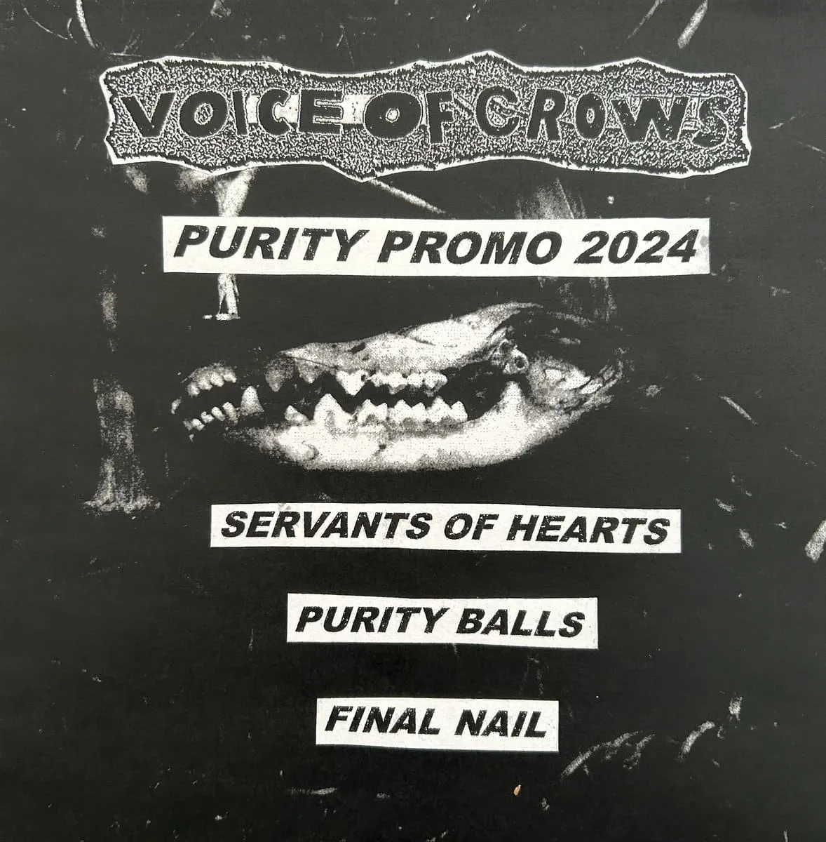 Purity Promo 2024 cover