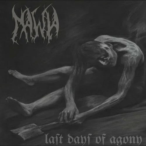 The Last Days of Agony cover