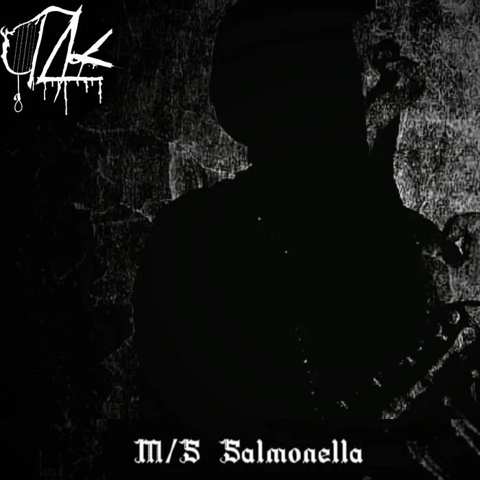 M​/​S Salmonella cover