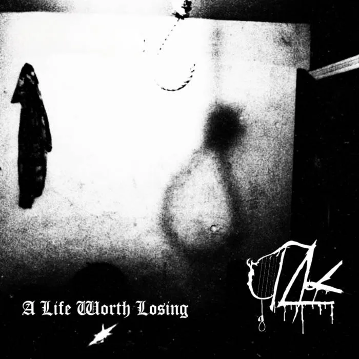 A Life Worth Losing cover