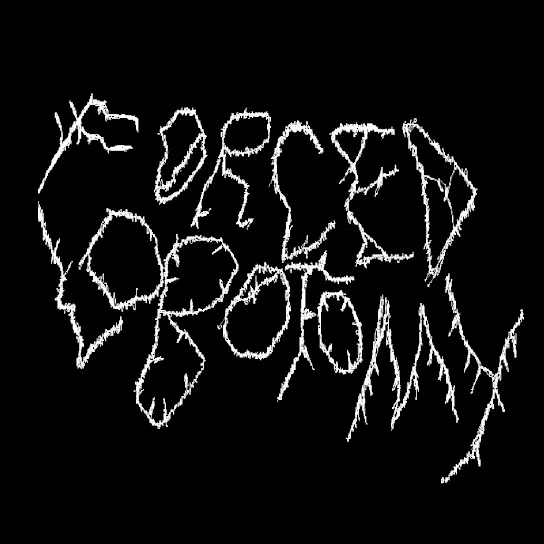 Forced Lobotomy cover
