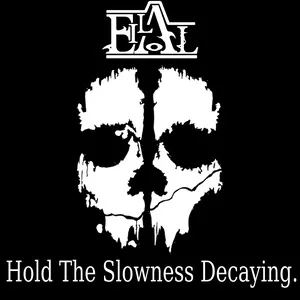 Hold the Slowness Decaying cover