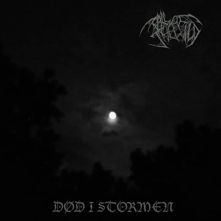 Død i stormen cover