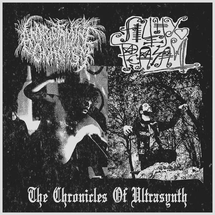 The Chronicles of Ultrasynth cover