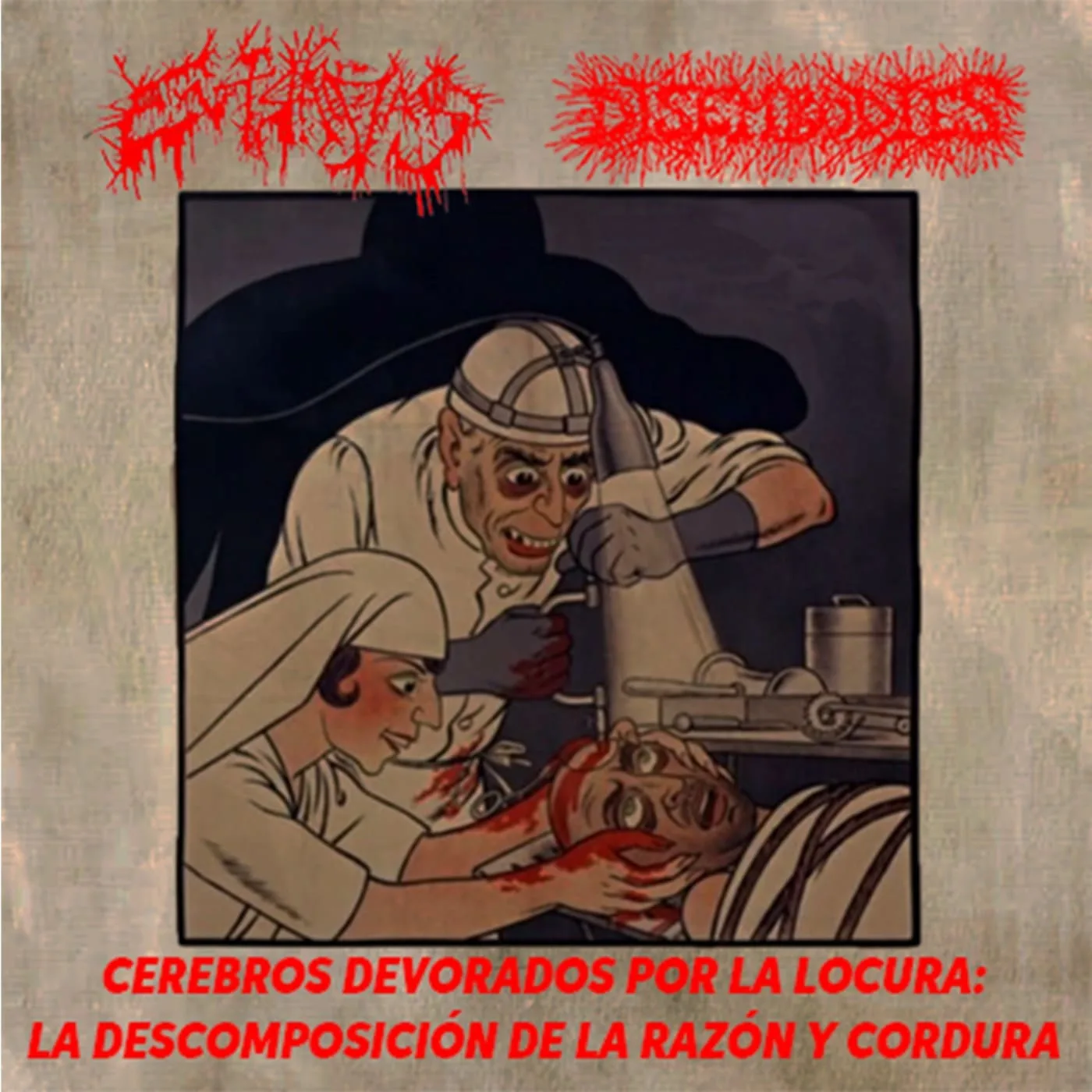 Cerebros Devorados por la Locura: La Descomposición de la Razón y Cordura cover