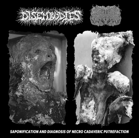 Saponification and Diagnosis of Necro Cadaveric Putrefaction cover