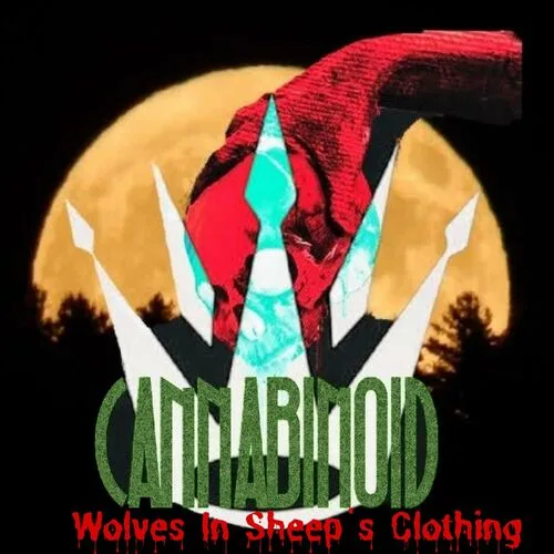 Wolves in Sheep's Clothing cover