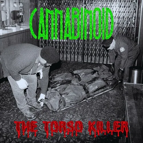 The Torso Killer cover