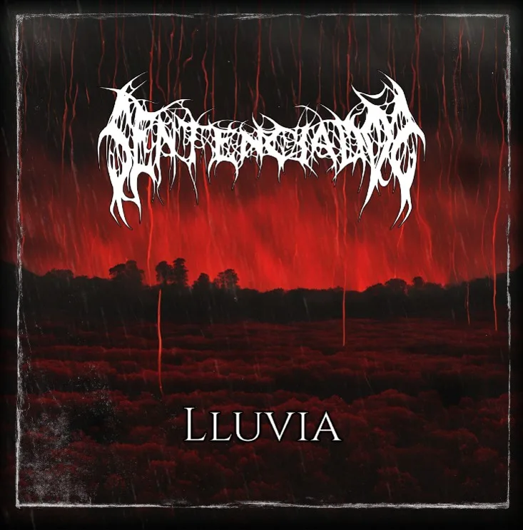 Lluvia cover