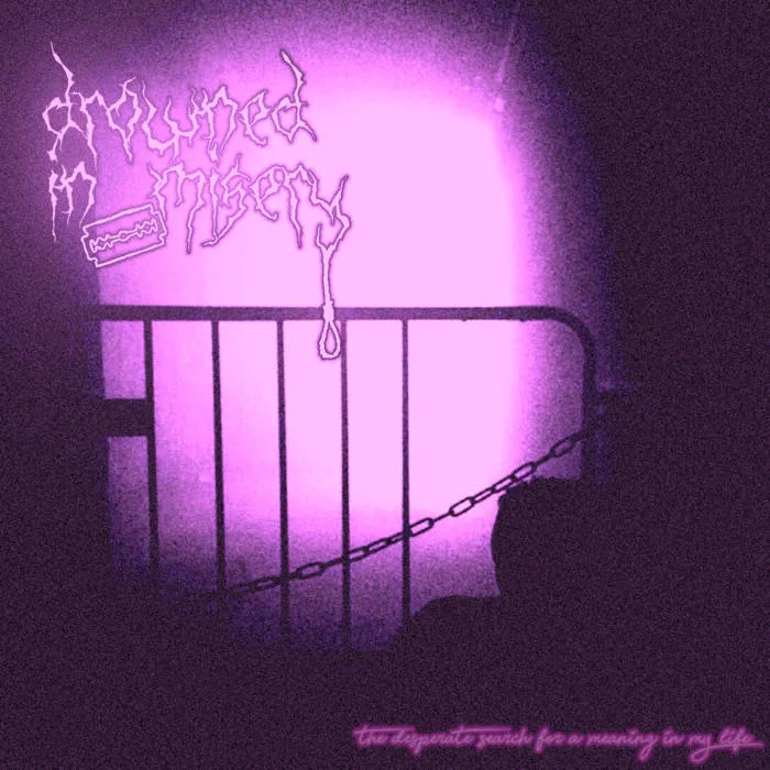 The Desperate Search for a Meaning in My Life cover