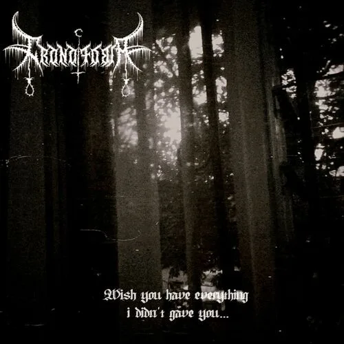 Wish You Have Everything i Didn't Gave You.. cover