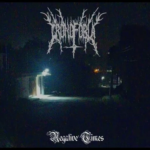 Negative Times cover