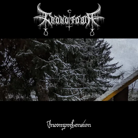 Incomprehension cover