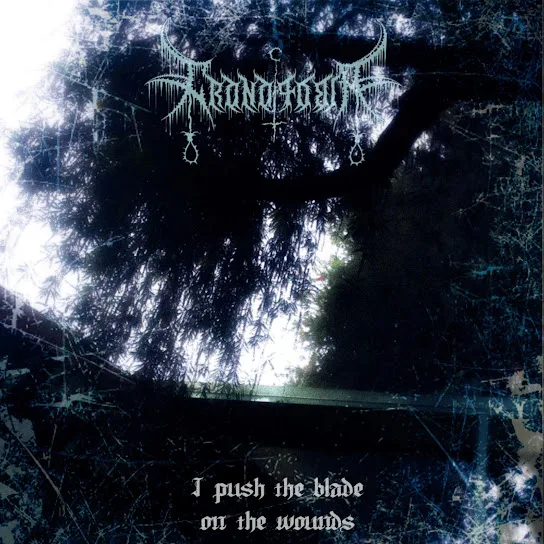 I Push the Blade on the Wounds cover