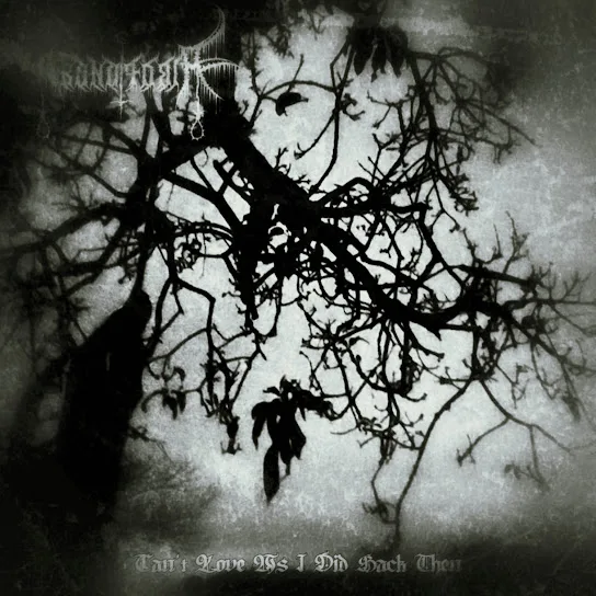 Can't Love as I Did Back Then cover