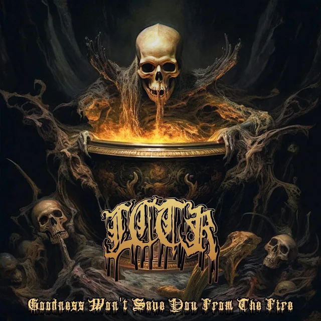 Goodness Won't Save You from the Fire cover