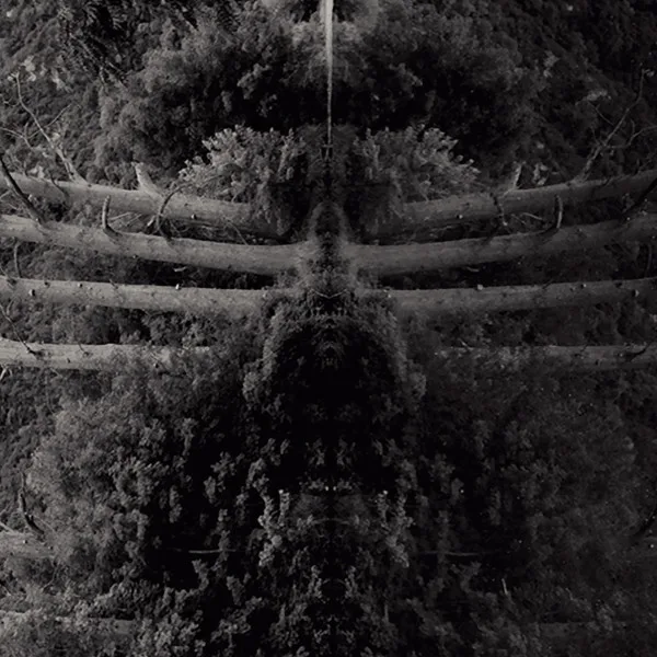 Reflect Your Pain cover