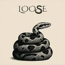Loose cover