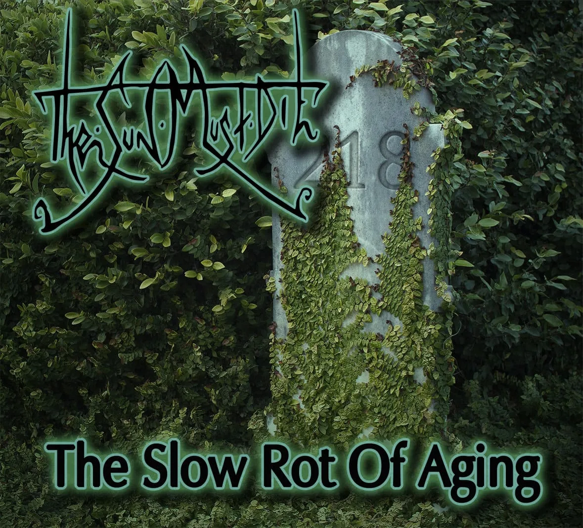 The Slow Rot of Aging cover