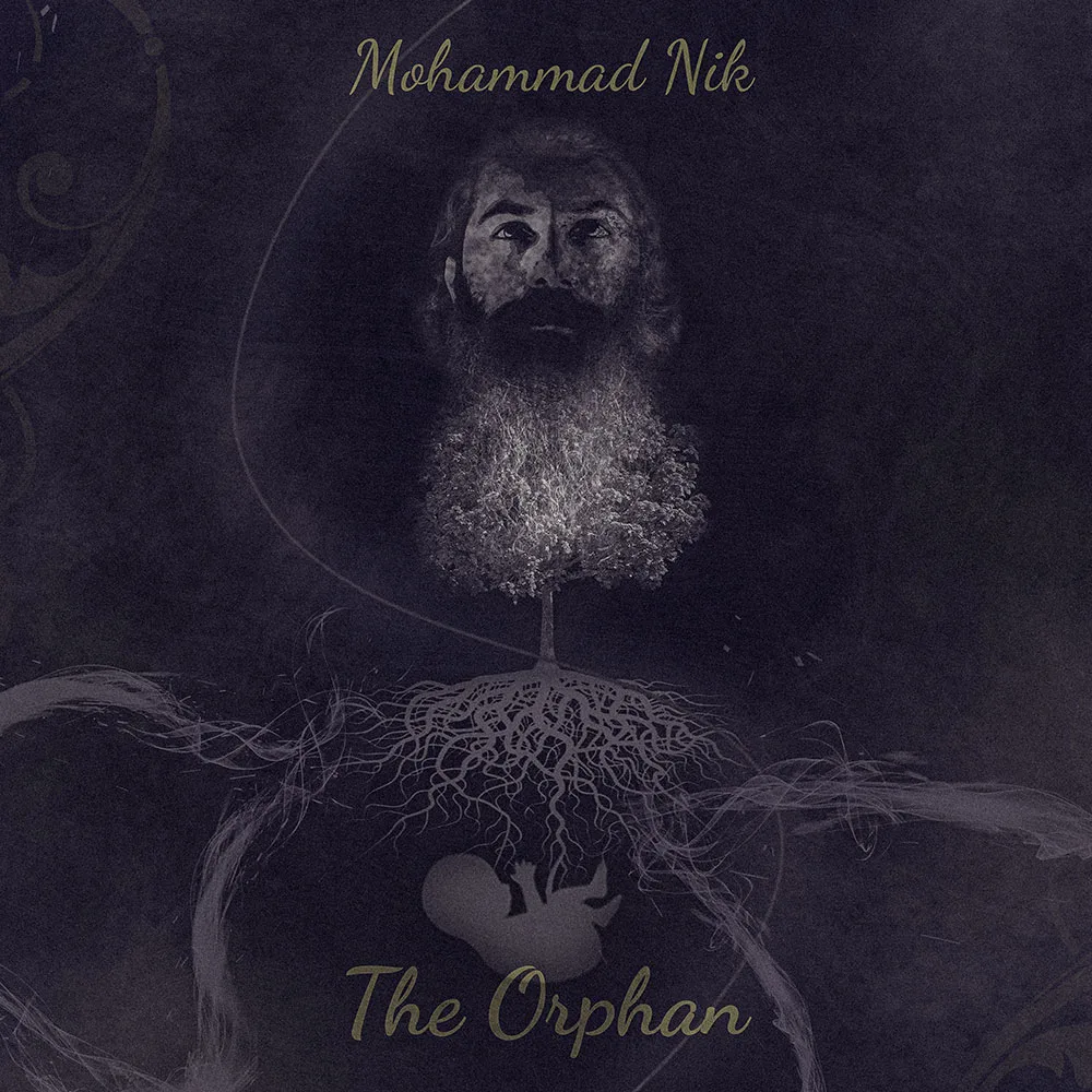 The Orphan cover