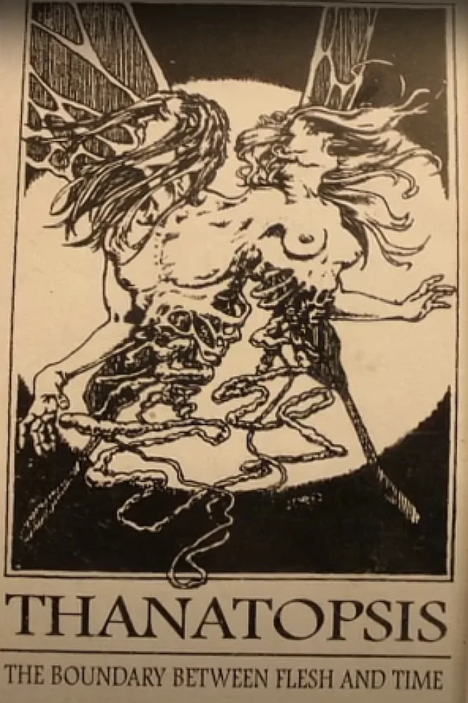 The Boundary Between Flesh and Time cover