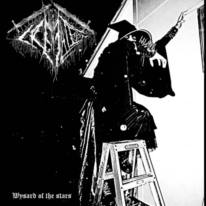 Wysard of the Stars cover
