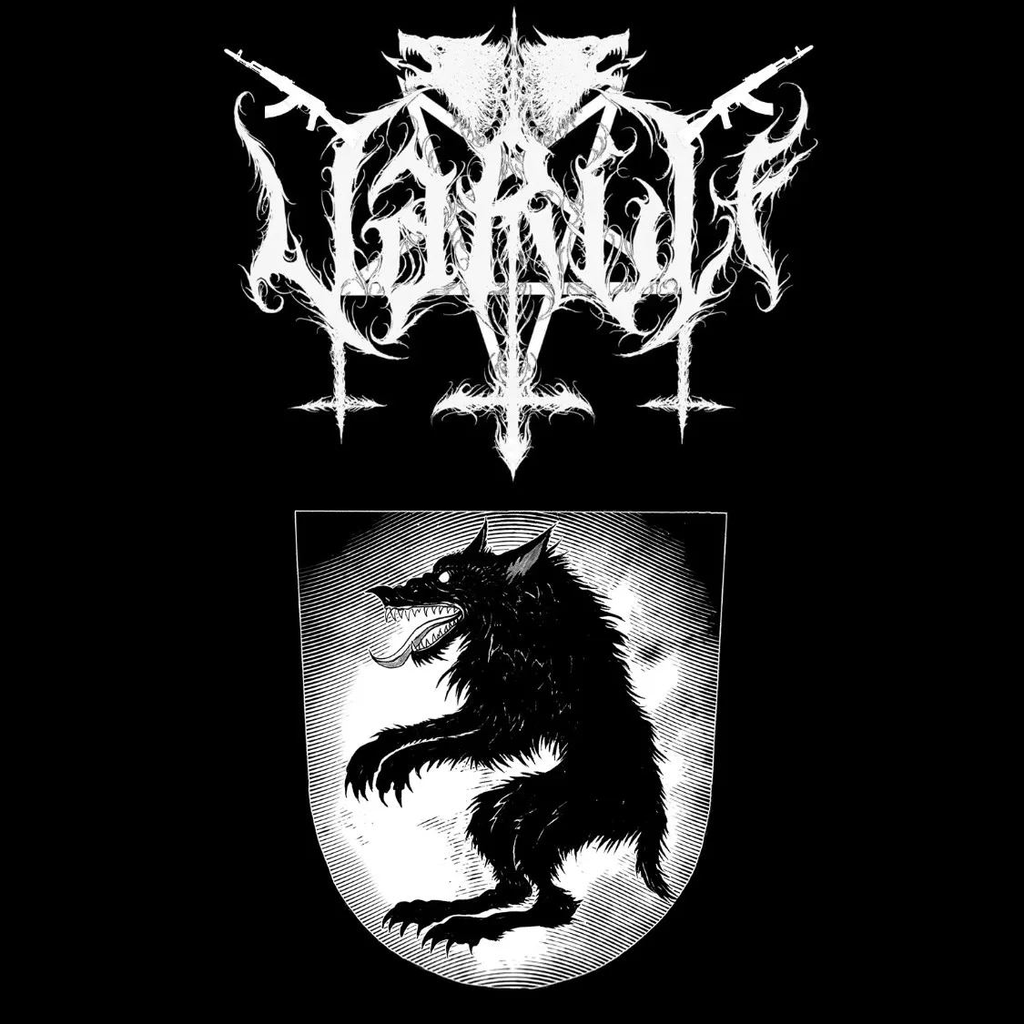 Assailing the Flock cover