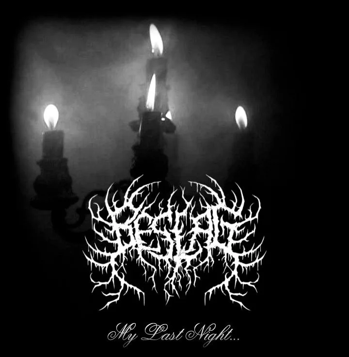 My Last Night... cover