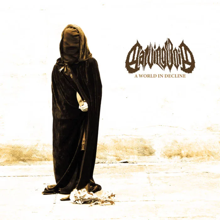 A World in Decline cover