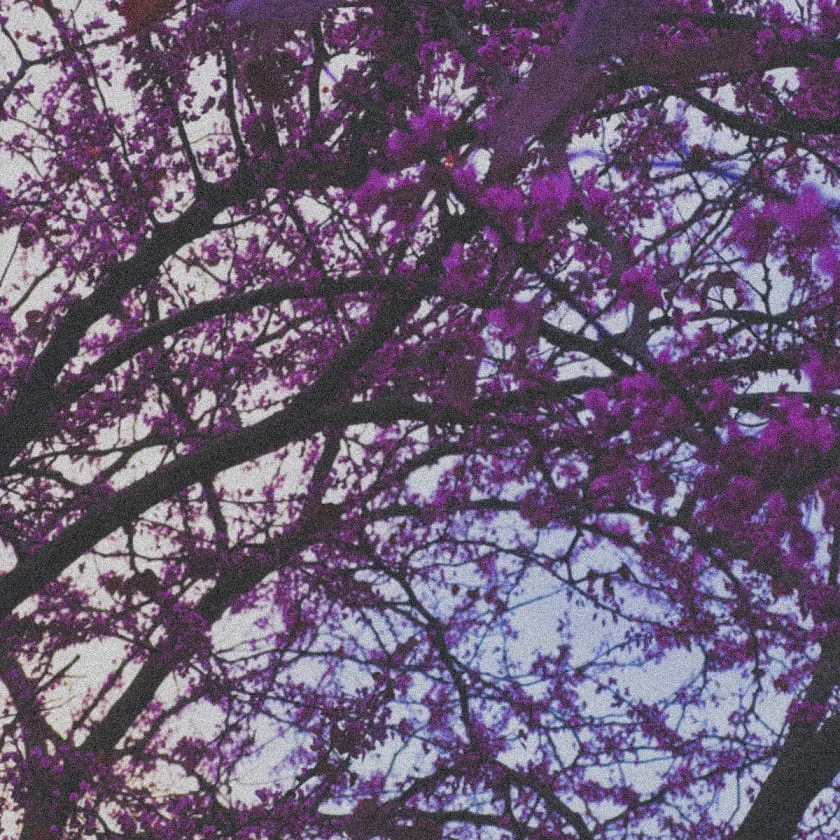 Underneath Night cover