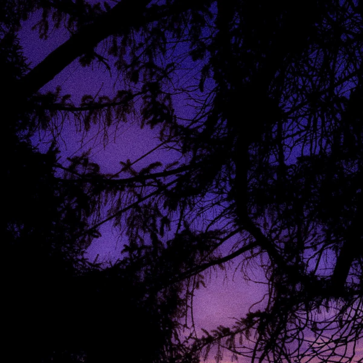 Starless Blanket of Nightsky cover