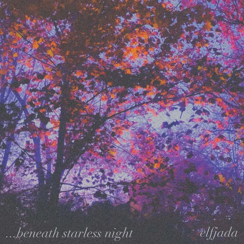 .​.​.​Beneath Starless Night // Elfjada cover
