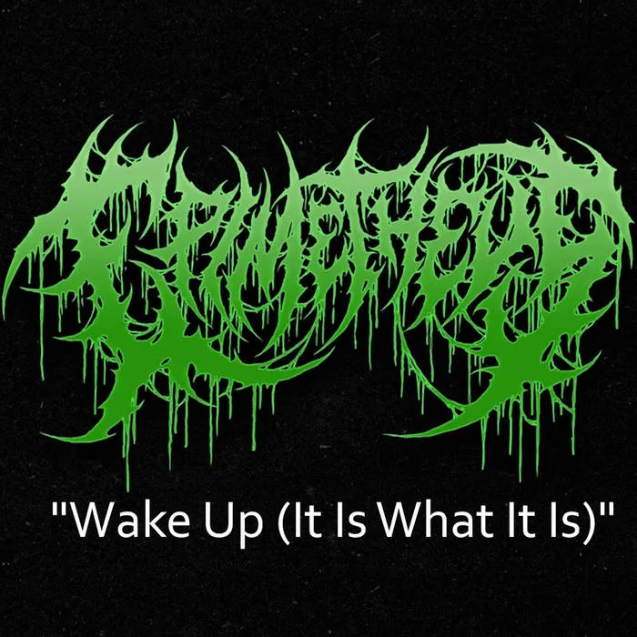 Wake Up (It Is What It Is) cover