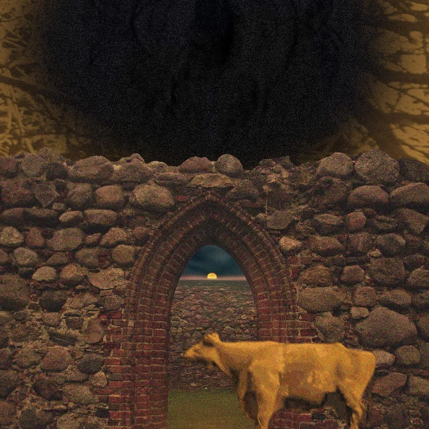 Drzwi & Tabernakulum cover