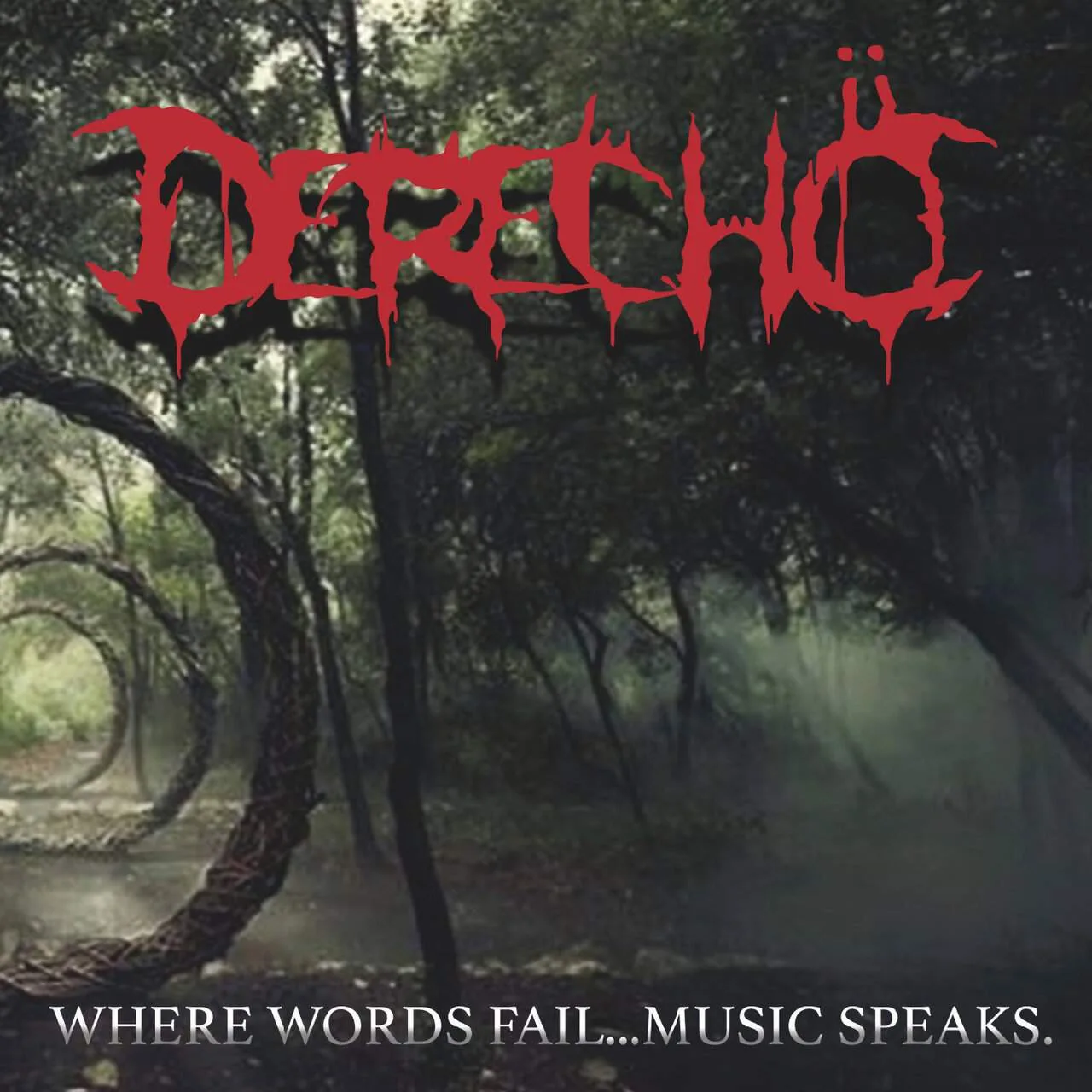 Where Words Fail... Music Speaks cover