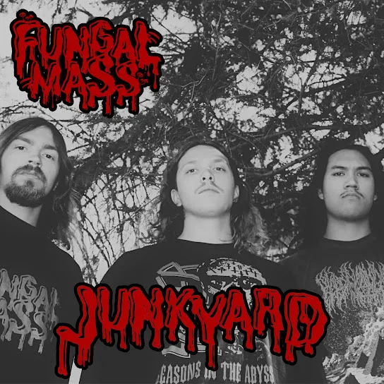 Junkyard cover