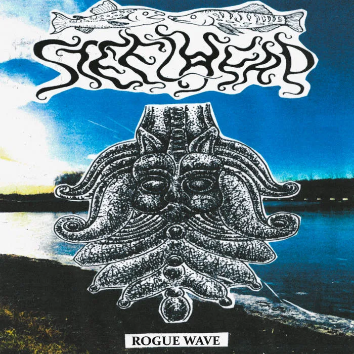 Rogue Wave cover