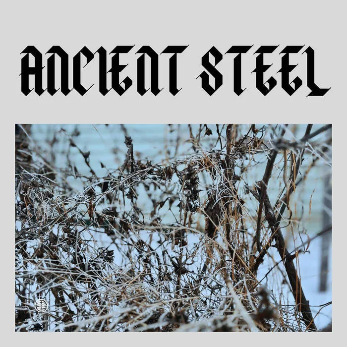 Ancient Steel cover