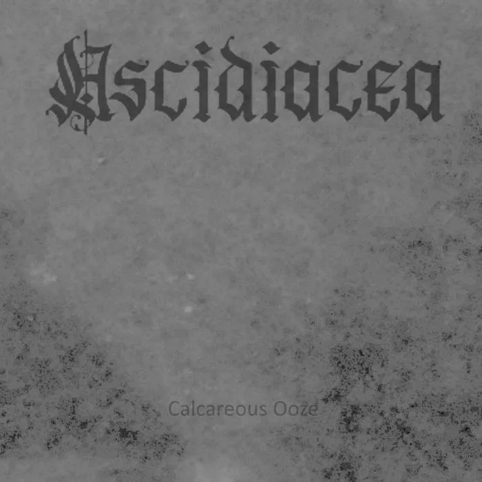 Calcerous Ooze cover