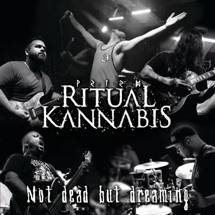 Not Dead but Dreaming cover